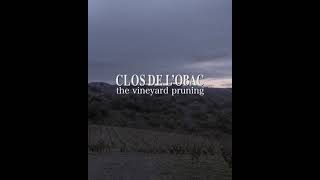 Clos de l'Obac   the vineyard pruning 2 converted
