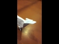 SUPER DETAILED ORIGAMI BIRD WITH CLAWS, BEAK, AND FEATHERS (EASY, ONE PAPER, NO SCISSOR NEEDED