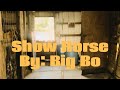Show Horse By Big Bo Line Dance Music Video mp3