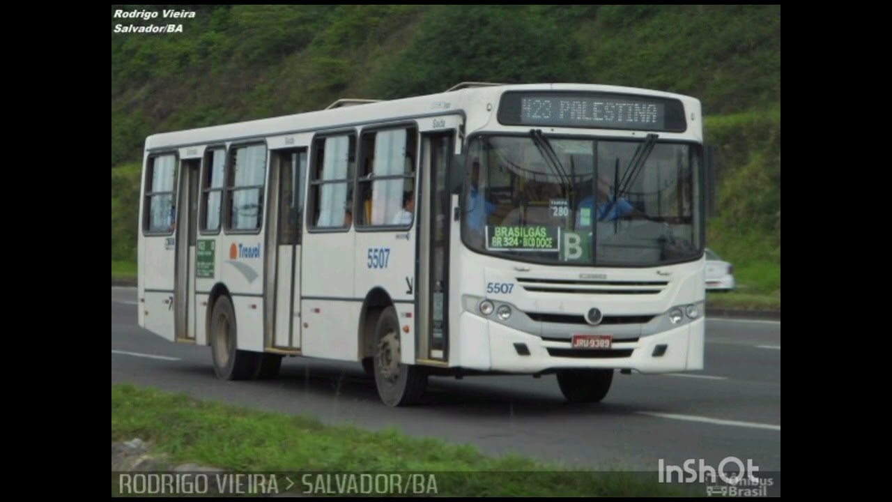 veiculos antes e depois padronização OT trans (Transol) p1