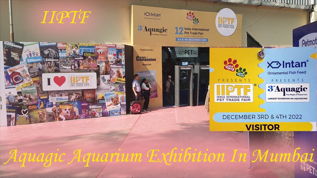 Aquagic Aquarium Exhibition In Goregaon Mumbai 2022 India Aquagic Aquarium Exhibition In Goregaon Mumbai 2022 India