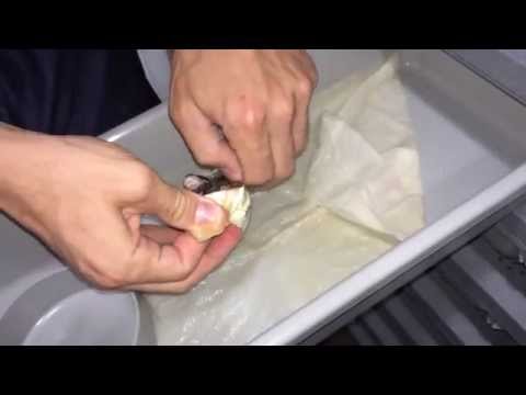 Taking Python out of Egg
