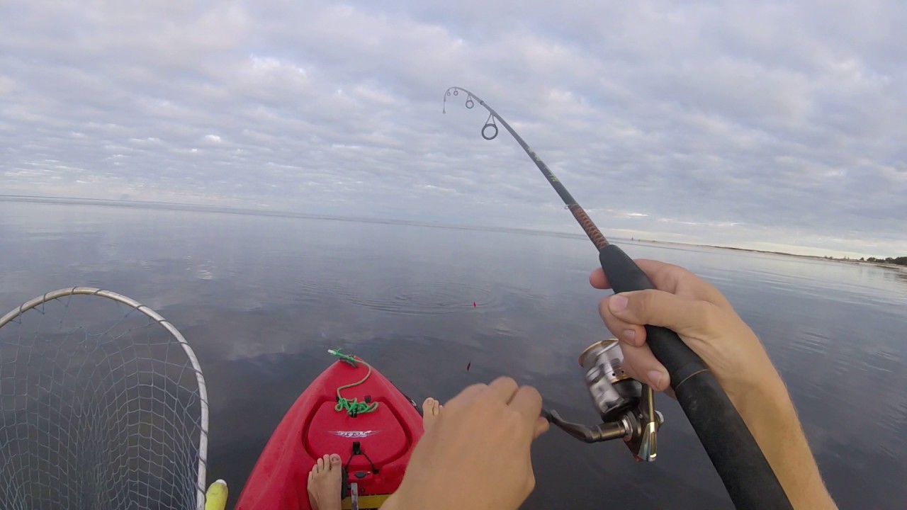 Ochlockonee Bay trout 1