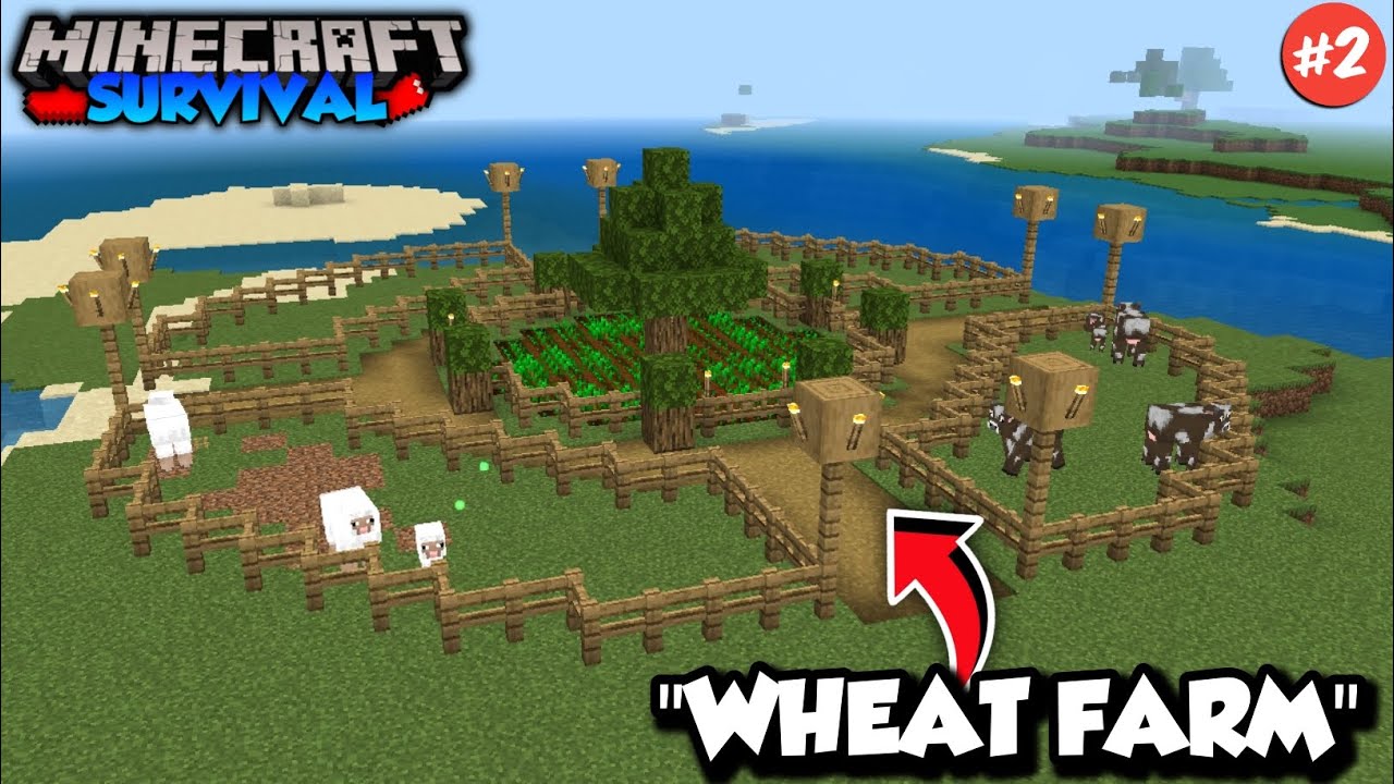 I Built The Ultimate Wheat Farm in Minecraft | Wheat Farm Banaya # ...