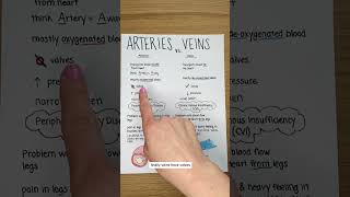 Arteries vs Veins