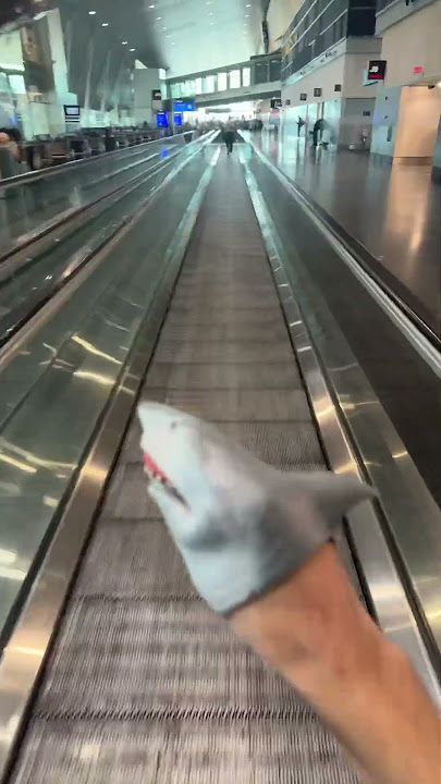 SB Short: Shark Puppet goes on a moving walkway! #shorts