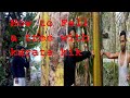 How to fell a tree with karate kikdipankar photography