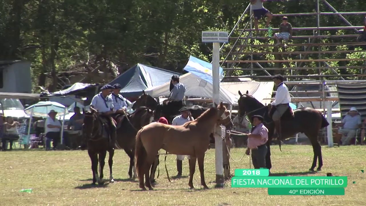5 Sábado Rueda de Grupa.