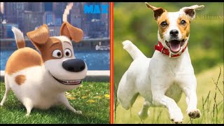 The Secret Life Of Pets 2 In Real Life