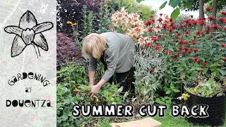 Summer Cut Back || Which Perennials & How || Beyond Deadheading