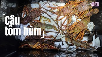 Câu TÔM HÙM ở Nhật Bản  | Bắt ốc "NGÓN TAY QUỶ" tiền triệu ở Việt Nam mọc đầy ở Nhật ( Phần 1 )