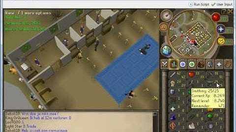 RSBot Scripting Lesson 3; Finding variable values