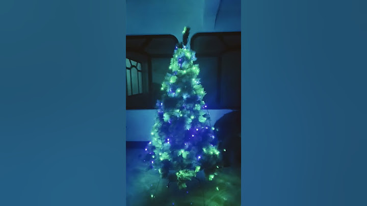 pusimos el árbol de Navidad#navidad #xd
