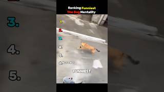 Ranking Funniest The Dog Mentality 😂 #ranking #shorts
