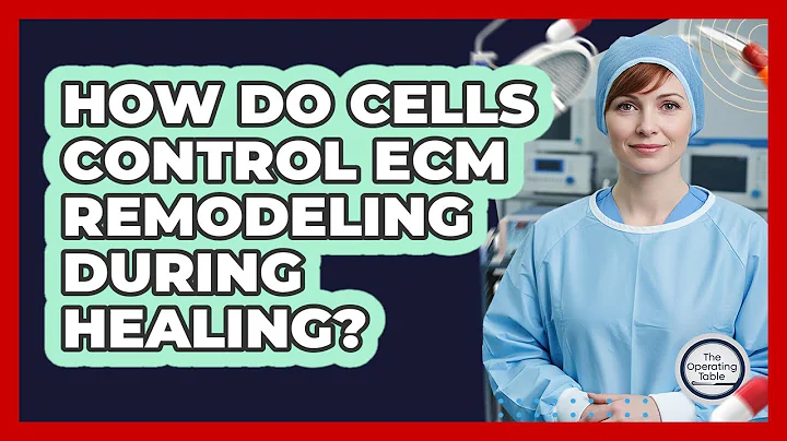 How Do Cells Control ECM Remodeling During Healing?