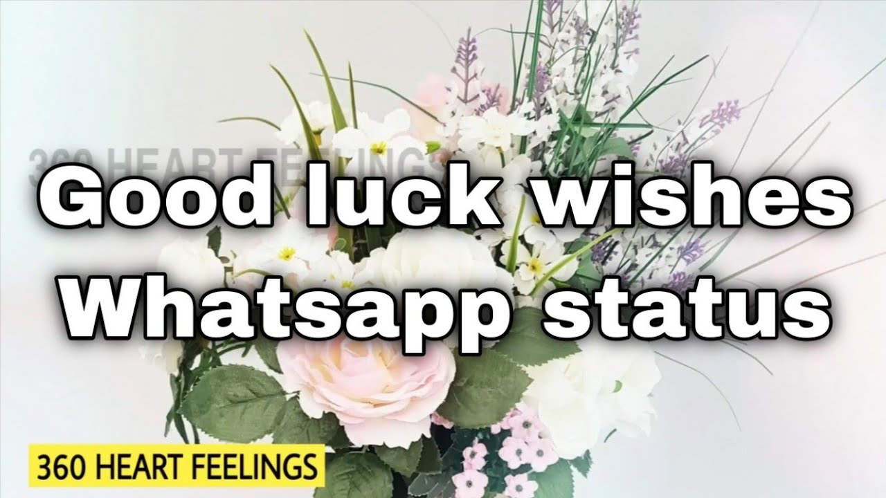 Good luck wishes whatsapp status Say all the best to friend good