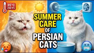 Summer Care of Persian Cats 🐾| Persian Cat Ko Garmi Se Kaise Bachaye ✅| Problems &amp; Solution Guide