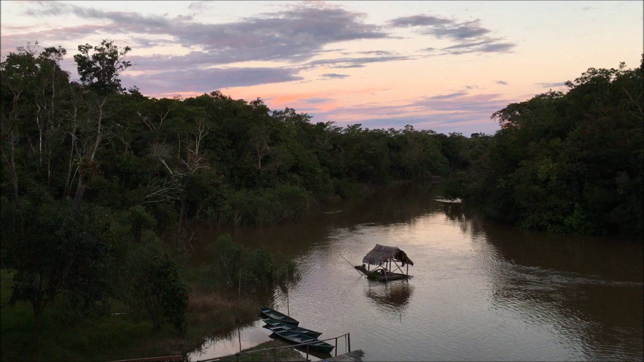 Early morning on the Tahuayo River (turn up volume)