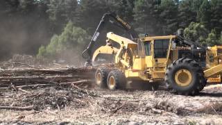 Tigercat  CBI full tree blue gum chipping operation