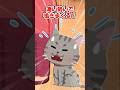 【2ch】「子猫を引き取っていい？」とウチの猫に聞いたら…【アニマル】 #Shorts