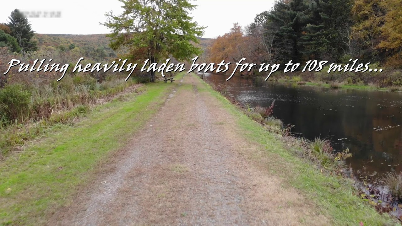 Explore Sullivan County's Delaware & Hudson Canal Linear Park