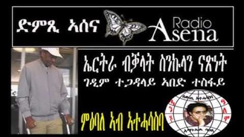 Voice of Assenna: Attitude Development - Eritrea in the Eyes of the Real Heroes