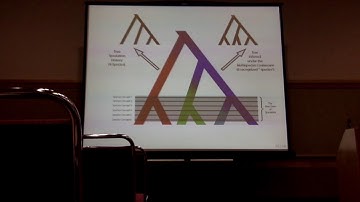 Sukumaran: Species delimitation under the multispecies coalescent