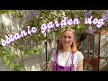 cambridge botanic garden vlog 🌿