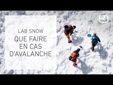 Avalanche Victim Rescue – Tutorial (13/17) (English) | LAB SNOW
