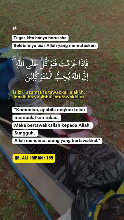 Manusia hanya berusaha selebihnya kita hanya bertawakal #reels #quotes #harusberanda #motivasidiri