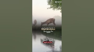 تلاوة خاشعة عطرة مباركة جميلة عذبة للشيخ ماهر المعيقلي ماتيسر من سورة الأعلى