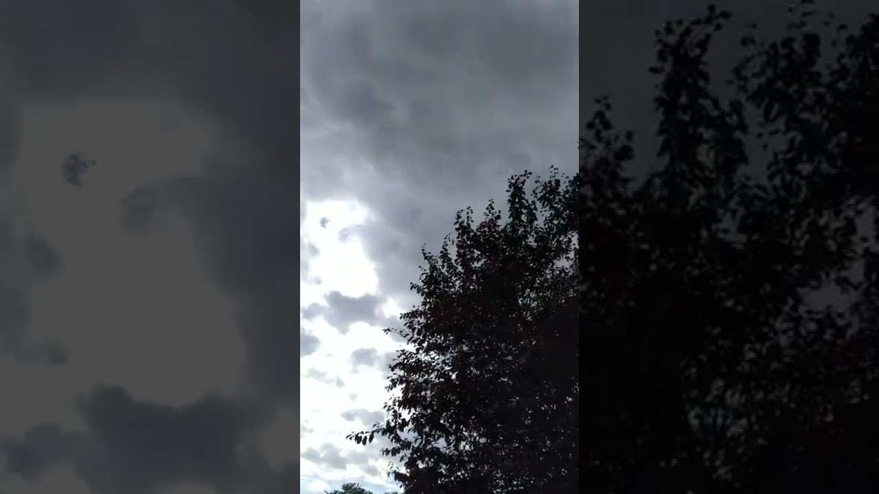 Was denn nun? Frühling oder Herbst?! (Jens Hatzig)