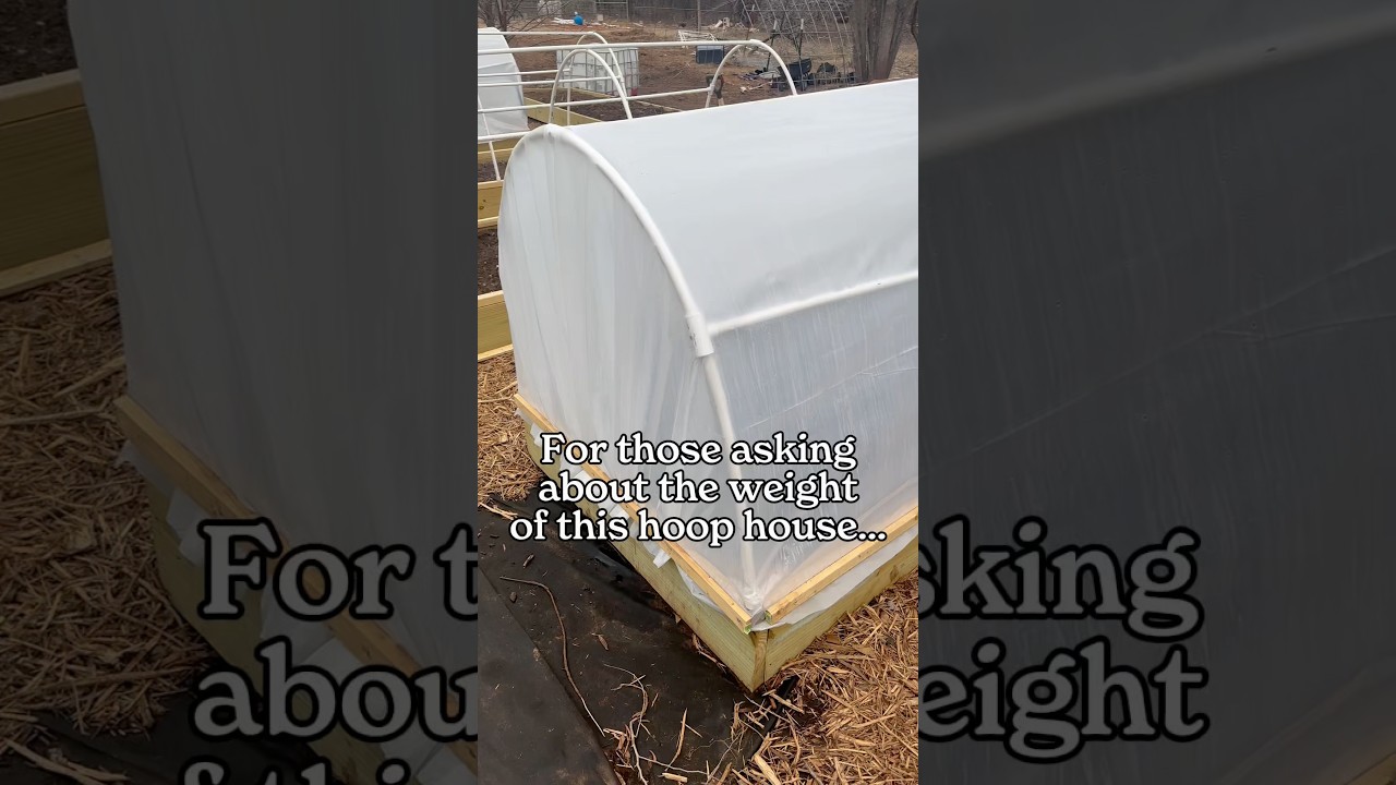 Uploads from From Seed to Spoon Garden Planning App