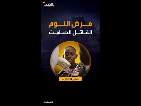 أزمات وكوارث ذبابة تسي تسي والمرض الذي يهد د ملايين الأفارقة