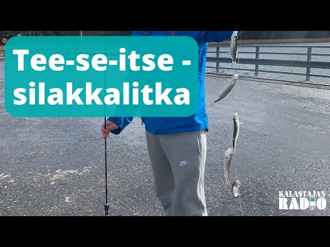 Video: Kumpi on parempi: tee tee-se-itse myyräkarkotin vai osta ultraääniversio?