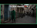 Ya Mali Hamali Cover Rai 2026 Malgré Zawali Lyrics Video 