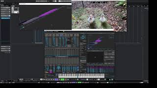 crusher x granular software: extreme sound mangling