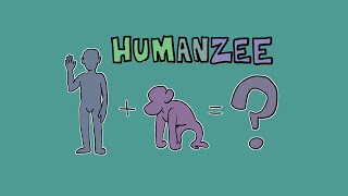 Could We Create a Human-Chimp Hybrid? - Earmouse