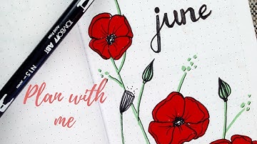 PLAN WITH ME JUNE 2018 POPPY FLOWERS