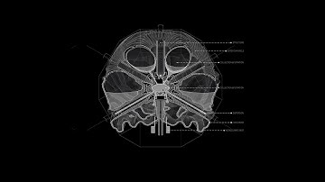 BIO_BOT 2.0 Design Dissertation