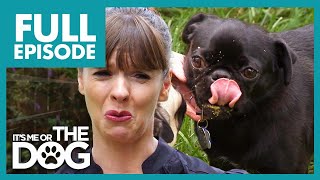 Victoria Shocked by These Poop Eating Pugs | Full Episode USA