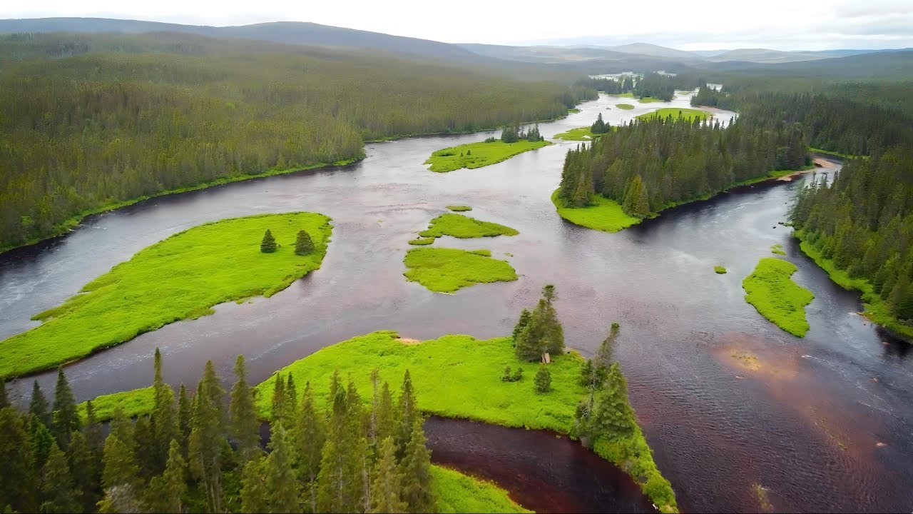 Fishing the Rivers of Northern Newfoundland - YouTube