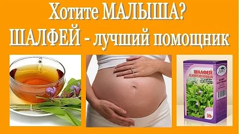 Не получается ЗАБЕРЕМЕНЕТЬ?  ШАЛФЕЙ - лучший помощник! Salvia (sage) - for pregnancy