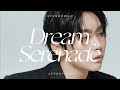 【和訳】夢の中でも伝えたい君は愛だったと｜Dream Serenade -スングァン（Seungkwan）