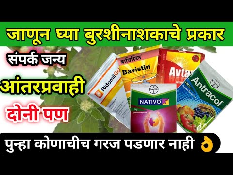 बुरशीनाशकाचे प्रकार | Type of Fungicides | Classification Of Fungicide बुरशीनाशकांची कार्य प्रणाली