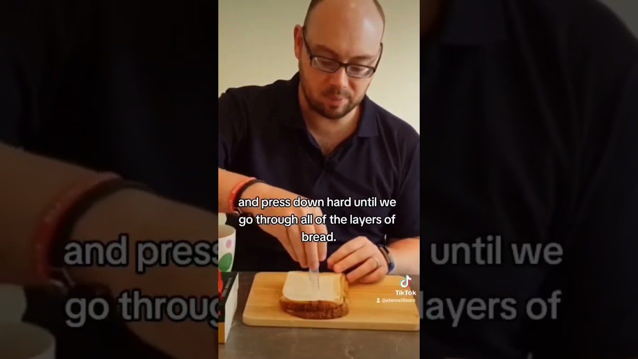 Part 2 | You learn how fossils are formed 