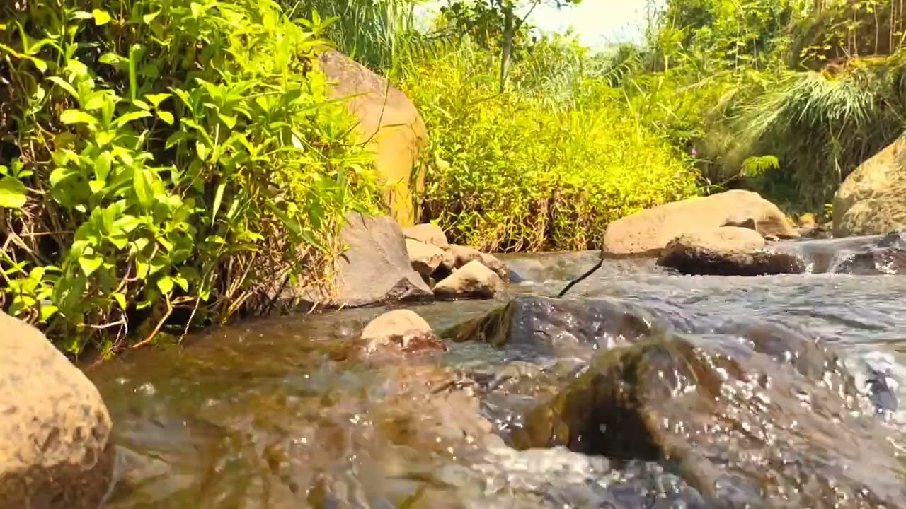 Zen River Ambience for Yoga and Sleep