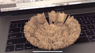 DEMO / Tissuesque USDZ