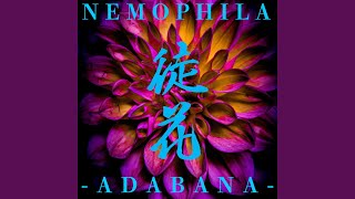 徒花 -ADABANA- - NEMOPHILA