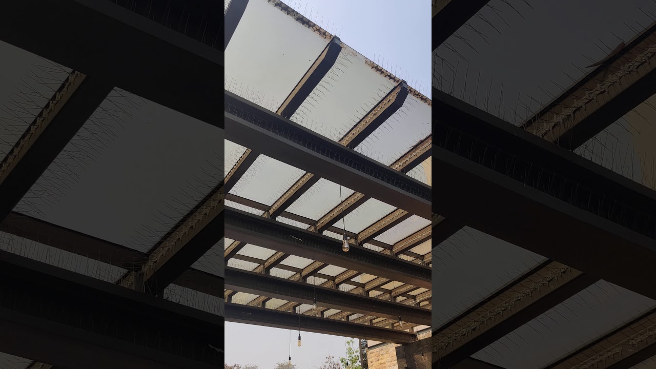 GET RID OF PIGEON PROBLEMS BY INSTALLING PIGEON SPIKE | BIRD SPIKE | PIGEON SPIKE | 8282828155